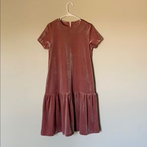 Velveteen rose dress